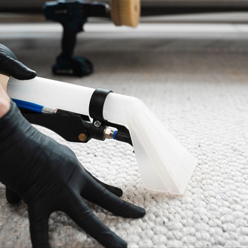 House Cleaners
